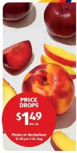 Aldi Plums or Nectarines offer