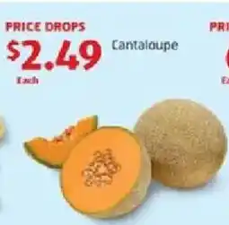 Aldi Cantaloupe offer