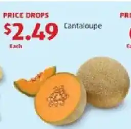 Aldi Cantaloupe offer