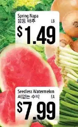 Hmart Seedless Watermelon offer