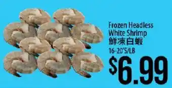 Frozen Headless White Shrimp