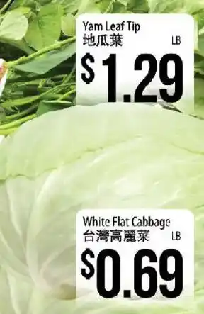Hmart White Flat Cabbage offer