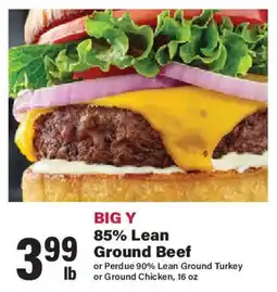 Big Y Big Y 85% Lean Ground Beef offer