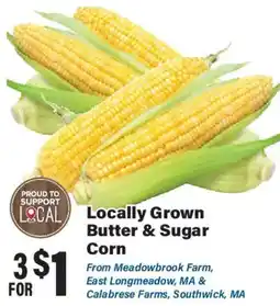 Big Y Locally Grown Butter & Sugar Corn offer
