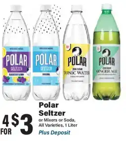 Big Y Polar Seltzer offer