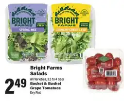 Big Y Bright Farms Salads offer