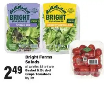 Big Y Bright Farms Salads offer