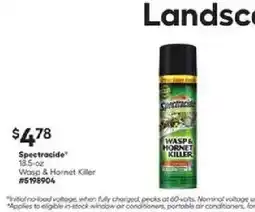 Lowe's Spectracide Wasp & Hornet Killer offer