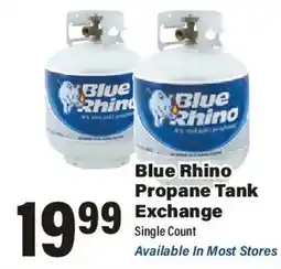 Big Y Blue Rhino Propane Tank offer