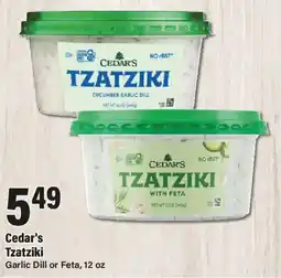 Big Y Cedar's Tzatziki offer