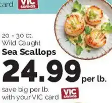 Harris Teeter Vic savings wild caught sea scallops offer