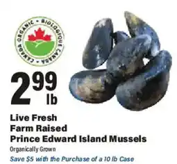Big Y Live Fresh Farm Raised Prince Edward Island Mussels offer