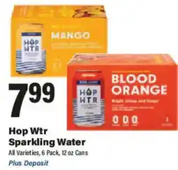 Big Y Hop Wtr Sparkling Water offer