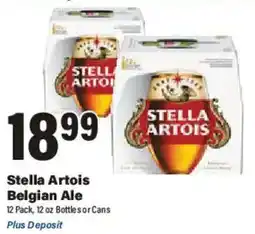 Big Y Stella Artois Belgian Ale offer