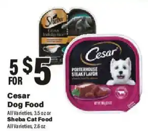 Big Y Cesar Dog Food offer