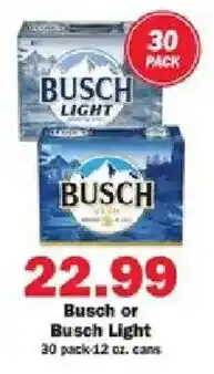 Busch or Busch Light