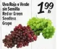 El Super Red or Green Seedless Grape offer