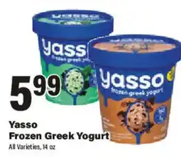 Big Y Yasso Frozen Greek Yogurt offer