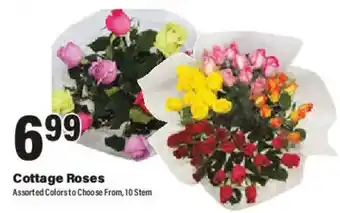 Big Y Cottage Roses offer