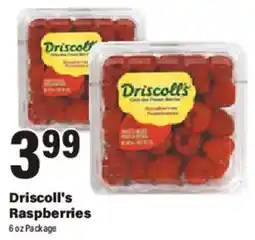 Big Y Driscoll's Raspberries offer