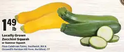Big Y Locally Grown Zucchini Squash or Summer Squash offer