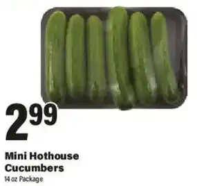 Big Y Mini Hothouse Cucumbers offer