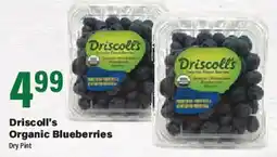 Big Y Driscoll's Organic Blueberries offer