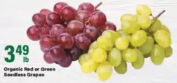 Big Y Organic Red or Green Seedless Grapes offer