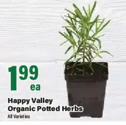 Big Y Happy Valley Organic Potted Herbs offer