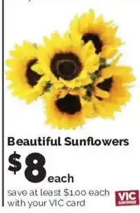 Harris Teeter Beautiful Sunflowers offer