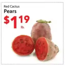 Three Guys from Brooklyn Red Cactus Pears offer