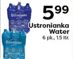 Rich's Fresh Market Ustronianka Water offer