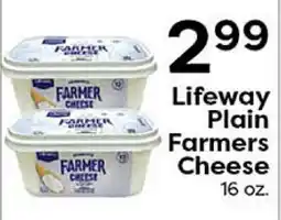 Rich's Fresh Market Lifeway Plain Farmers Cheese offer