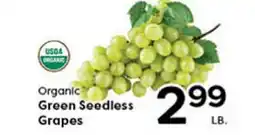 Rich's Fresh Market Organic Green Seedless Grapes offer