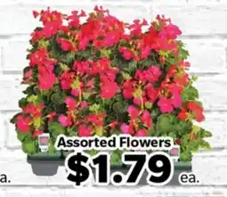 Living Fresh Market Assorted Flowers offer