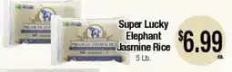 Big Saver Foods Super Lucky Elephant Jasmine Rice offer