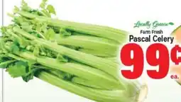 Angelo Caputo's Fresh Market Locally Grown Farm Fresh Pascal Celery offer