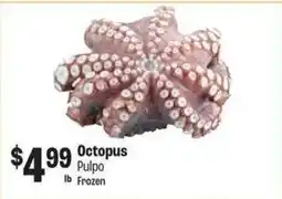Food City Octopus offer