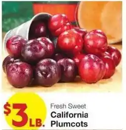Market Street Fresh Sweet California Plumcots offer