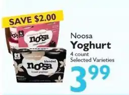 Festival Foods Noosa Yoghurt offer