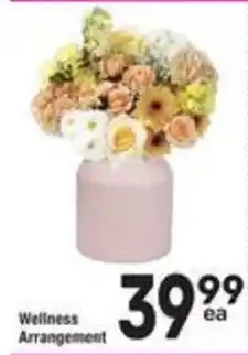 Albertsons Wellness Arrangement offer