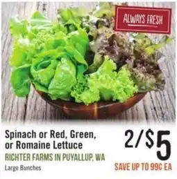 Haggen Food Richter Farms spinach or red, green, or romaine lettuce offer