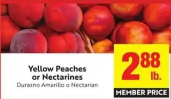 Yellow Peaches or Nectarines