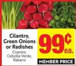 Save Mart Cilantro, Green Onions or Radishes offer
