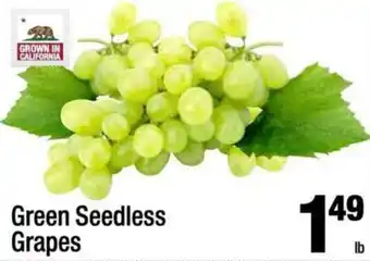 Green Seedless Grapes