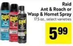 Save Mart Raid Ant & Roach or Wasp & Hornet Spray offer