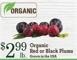 Yoke's Fresh Market Organic Red or Black Plums offer