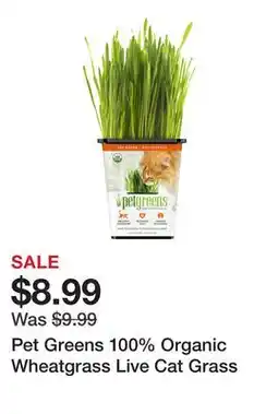 Petsmart Pet Greens 100% Organic Wheatgrass Live Cat Grass offer