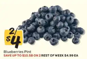 Winn Dixie BLUEBERRIES Pint offer