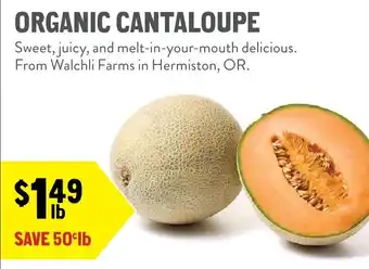 Organic Cantaloupe
